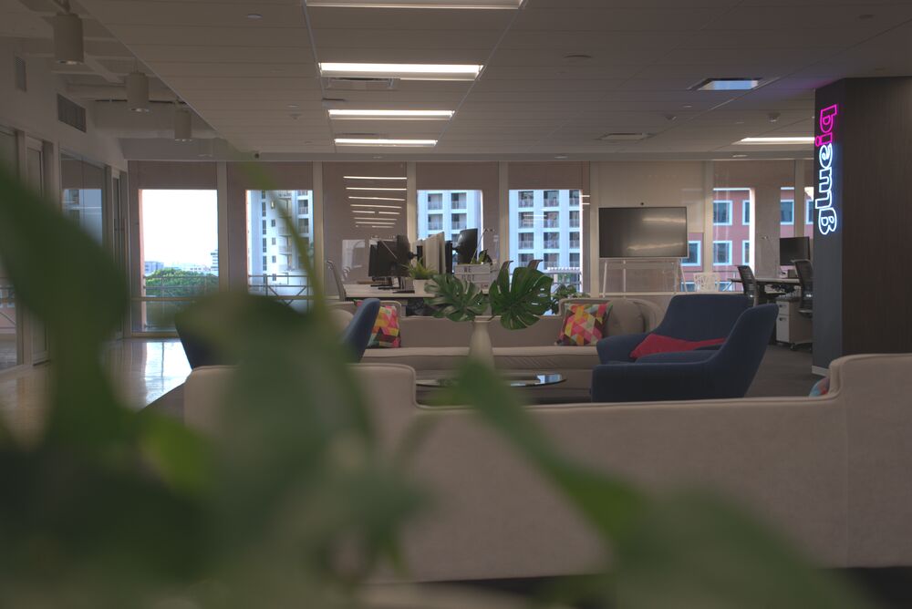 A lounge with sofas and plants, Coral Gables through the windows